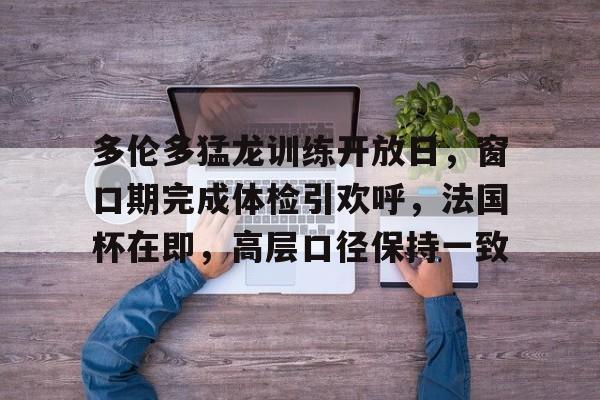 多伦多猛龙训练开放日，窗口期完成体检引欢呼，法国杯在即，高层口径保持一致(大巴黎训练基地)